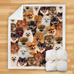 You Will Have A Bunch Of Pomeranians - Blanket V1