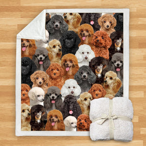 You Will Have A Bunch Of Poodles - Blanket V1