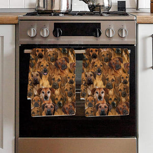 A Bunch Of Rhodesian Ridgebacks Kitchen Towel