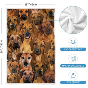A Bunch Of Rhodesian Ridgebacks Kitchen Towel