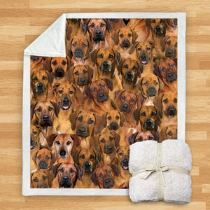 You Will Have A Bunch Of Rhodesian Ridgebacks - Blanket V1