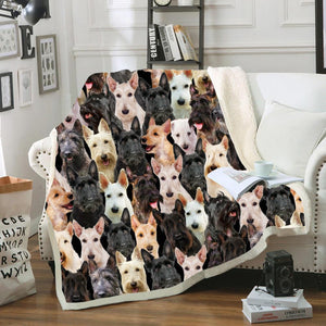 You Will Have A Bunch Of Scottish Terriers - Blanket V1