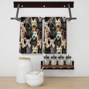 A Bunch Of Scottish Terriers Kitchen Towel