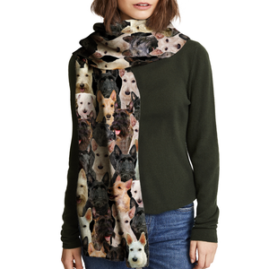 You Will Have A Bunch Of Scottish Terriers - Scarf V1