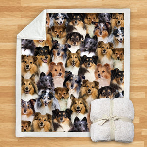 You Will Have A Bunch Of Shetland Sheepdogs - Blanket V1