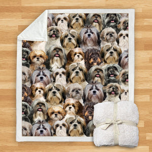 You Will Have A Bunch Of Shih Tzus - Blanket V1