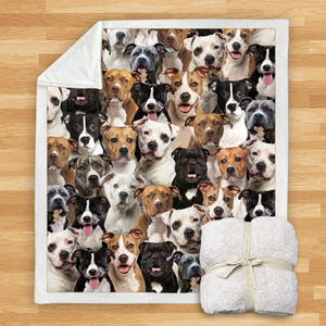 You Will Have A Bunch Of Staffordshire Bull Terriers - Blanket V1
