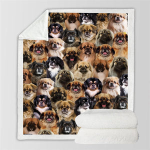 You Will Have A Bunch Of Tibetan Spaniels - Blanket V1