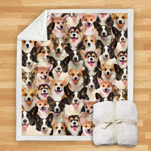 You Will Have A Bunch Of Welsh Corgies - Blanket V1