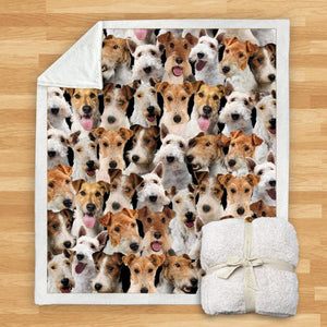 You Will Have A Bunch Of Wire Fox Terriers - Blanket V1