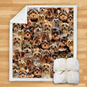 You Will Have A Bunch Of Yorkshire Terriers - Blanket V1