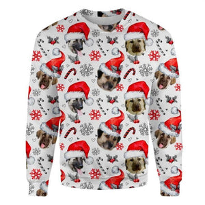 Anatolian Shepherd - Xmas Decor - Premium Sweatshirt