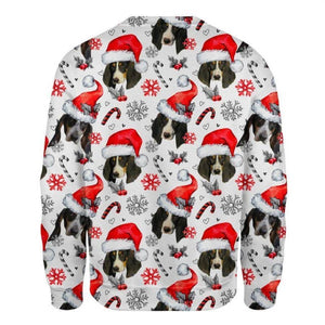 Ariegeois - Xmas Decor - Premium Sweatshirt