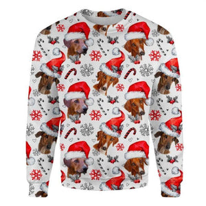 Azawakh - Xmas Decor - Premium Sweatshirt
