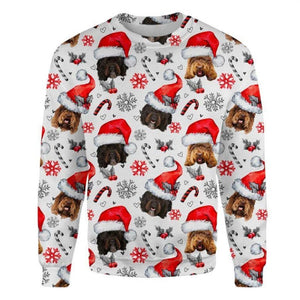 Barbet - Xmas Decor - Premium Sweatshirt