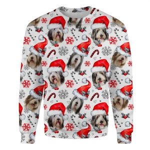 Bearded Collie - Xmas Decor - Premium Sweatshirt