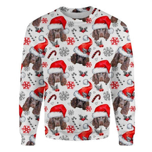 Boykin Spaniel - Xmas Decor - Premium Sweatshirt