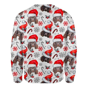 Boykin Spaniel - Xmas Decor - Premium Sweatshirt