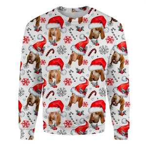 Bracco Italiano - Xmas Decor - Premium Sweatshirt