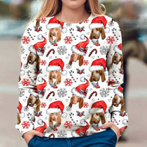 Bracco Italiano - Xmas Decor - Premium Sweatshirt