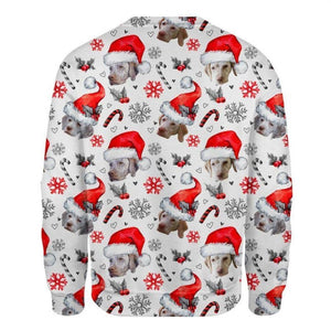 Braque du Bourbonnais - Xmas Decor - Premium Sweatshirt