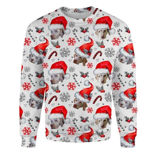 Braque du Bourbonnais - Xmas Decor - Premium Sweatshirt