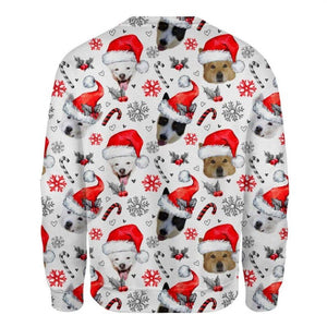 Canaan Dog - Xmas Decor - Premium Sweatshirt