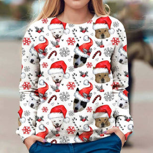 Canaan Dog - Xmas Decor - Premium Sweatshirt