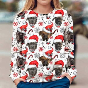 Cane Corso - Xmas Decor - Premium Sweatshirt