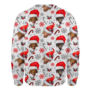 Chesapeake Bay Retriever - Xmas Decor - Premium Sweatshirt