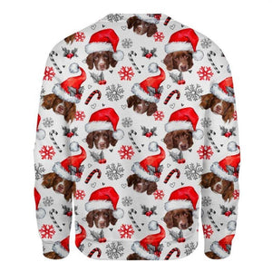 Drentse Patrijshond - Xmas Decor - Premium Sweatshirt