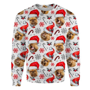 Griffon Bruxellois - Xmas Decor - Premium Sweatshirt