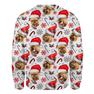 Griffon Bruxellois - Xmas Decor - Premium Sweatshirt