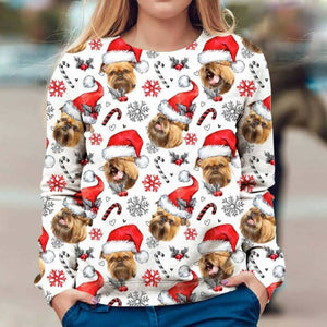 Griffon Bruxellois - Xmas Decor - Premium Sweatshirt