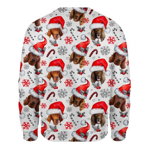Irish Setter - Xmas Decor - Premium Sweatshirt