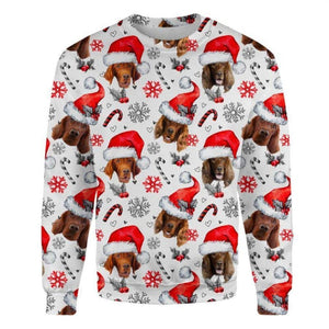 Irish Setter - Xmas Decor - Premium Sweatshirt