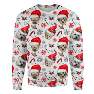 Morkie - Xmas Decor - Premium Sweatshirt