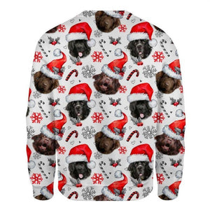 Newfoundland - Xmas Decor - Premium Sweatshirt