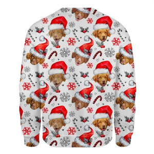 Nova Scotia Duck Tolling - Xmas Decor - Premium Sweatshirt