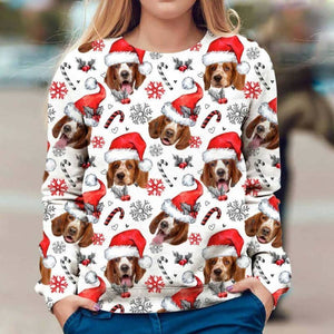 Welsh Springer Spaniel - Xmas Decor - Premium Sweatshirt