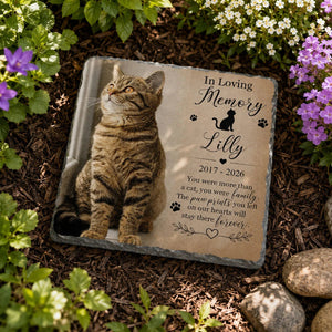 You Were More Than A Pet - Personalized Pet Photo Memorial Stone