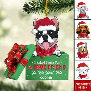 A True Friend - Personalized Acrylic Ornament - 2024 New Release