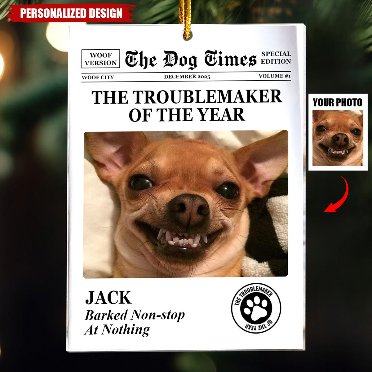 The Dog Times, The Meow Times-Troublemaker Of The Year-Personalized Acrylic Photo Ornament