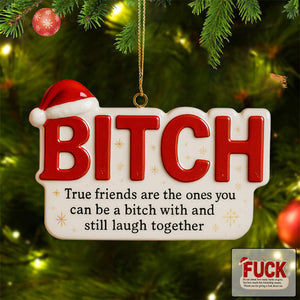 Funny Friendship Christmas Ornament