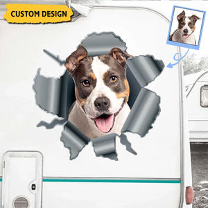 Personalized Peeking Pets Decal - Gift For Pet Lovers