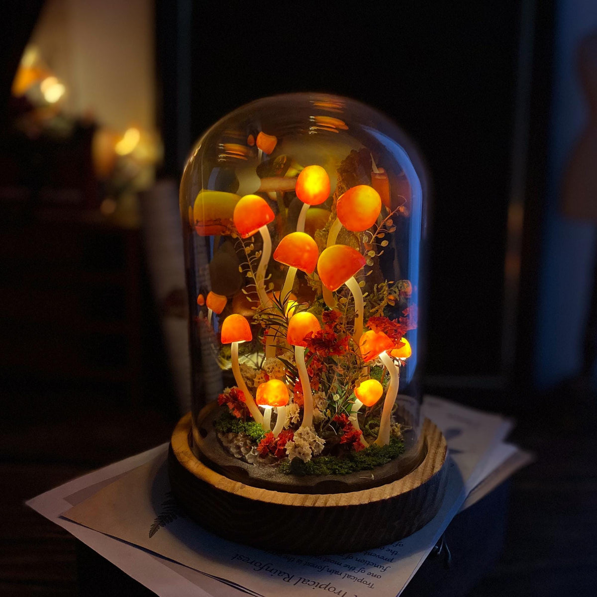 Enchanted Mushroom Forest Handmade Night Light