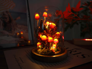 Enchanted Red Mushroom Night Light