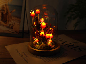 Enchanted Red Mushroom Night Light