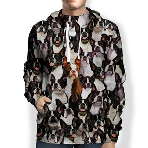 You Will Have A Bunch Of Boston Terriers - Hoodie V1