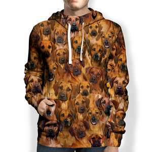 You Will Have A Bunch Of Rhodesian Ridgebacks - Hoodie V1